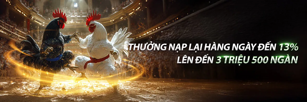 Đá Gà C4 Có Biến – Sân đấu kịch tính